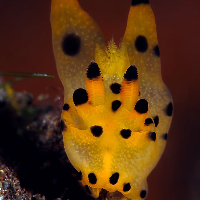 Post by kathrin_underwater