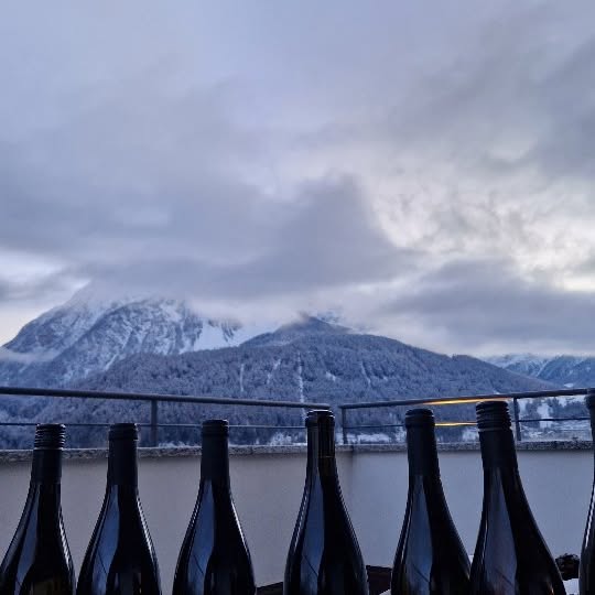 Post by vonsaliswein.ch