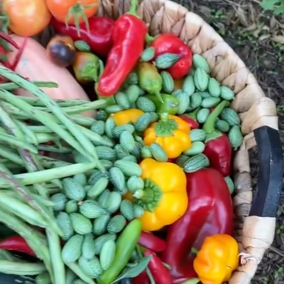 Post by thegoodgarden.co