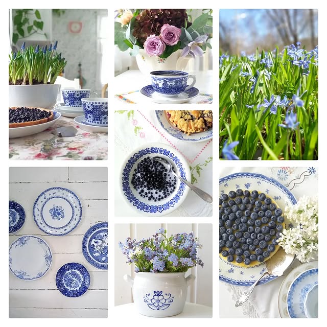 Post by kirstilehmuskoski