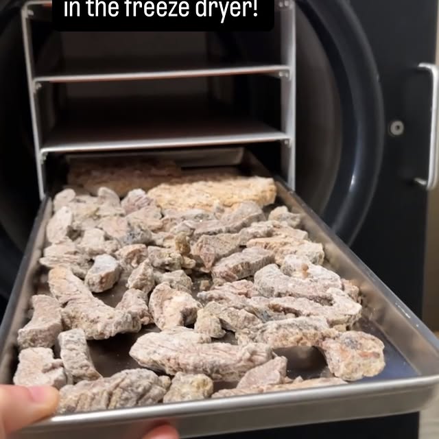 Post by roguepreparedness