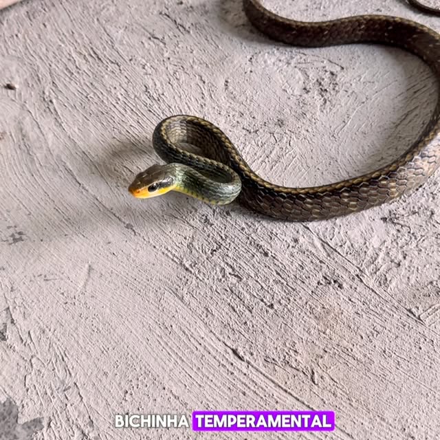 Post by biologo.christian