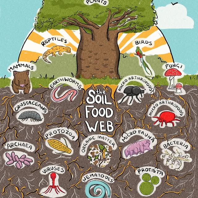 Post by visionary_permaculture