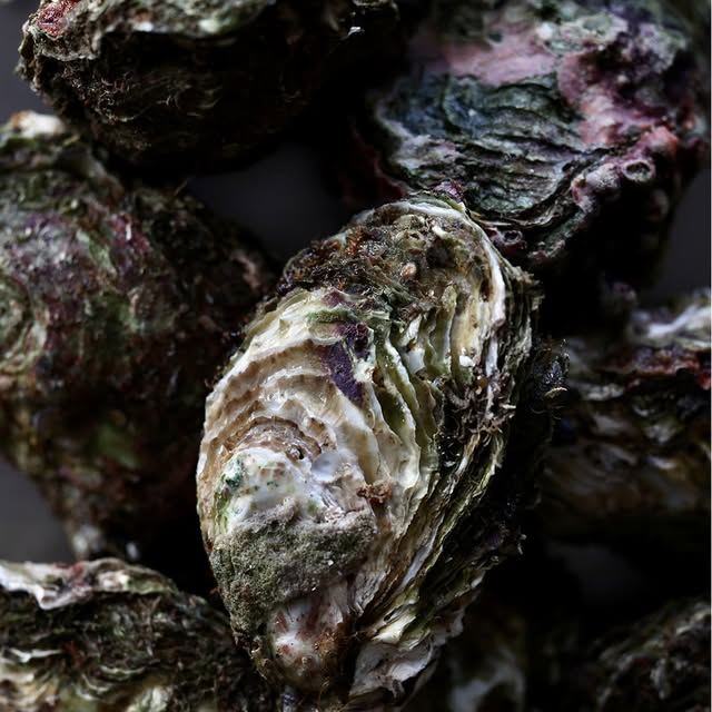 Post by sebastiensanjou