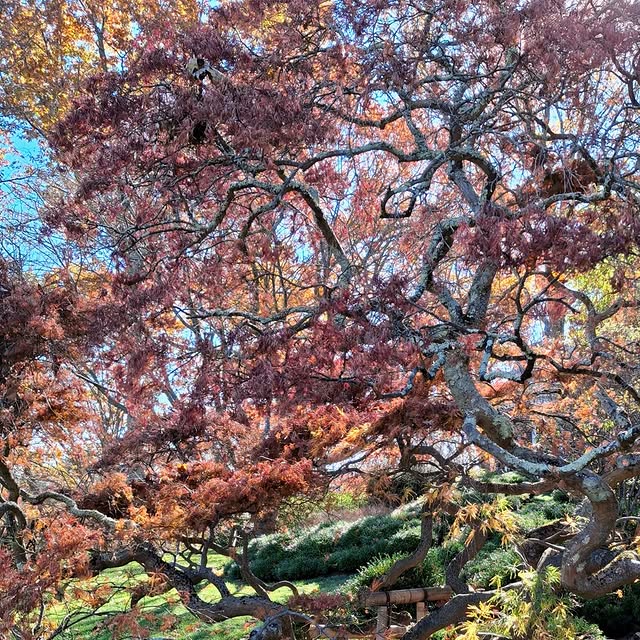 Post by troyscottsmith1