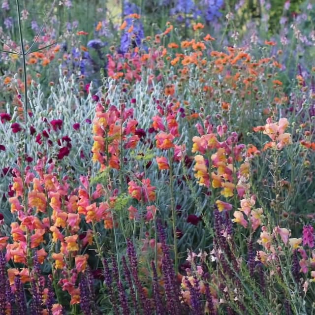 Post by patthana_garden