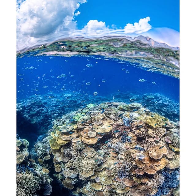 Post by akky_underwater