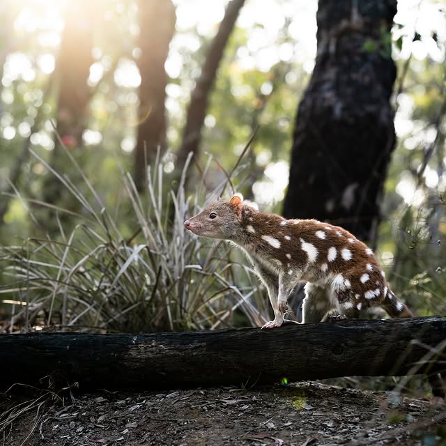 Post by jakewiltonphoto