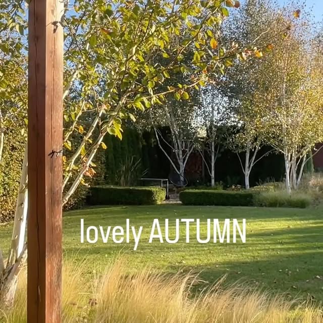 Post by gardenroom.kp