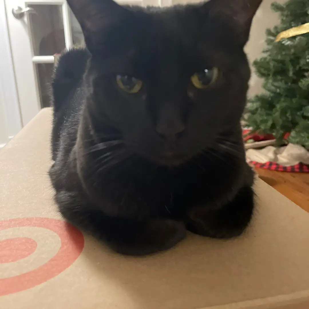 Bracelet Warriors's profile picture