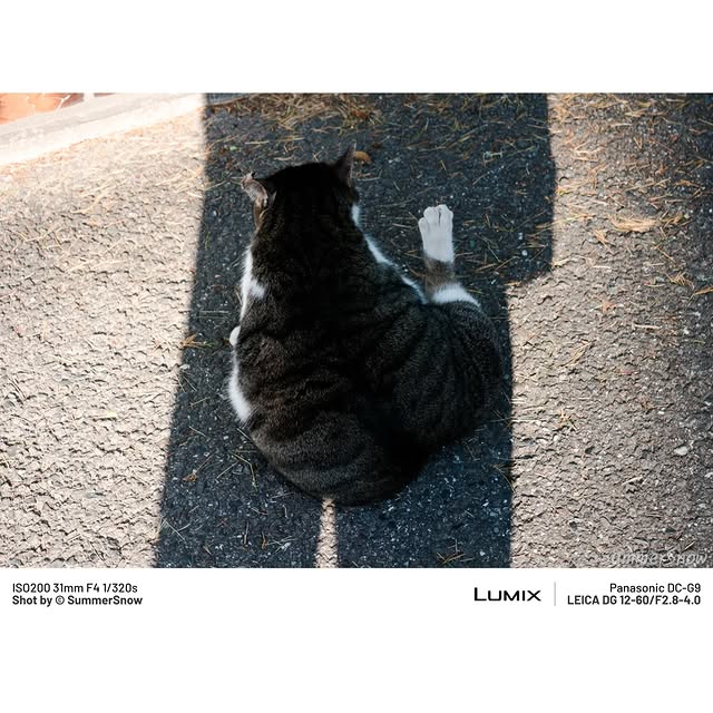 Post by summersnow_traveler