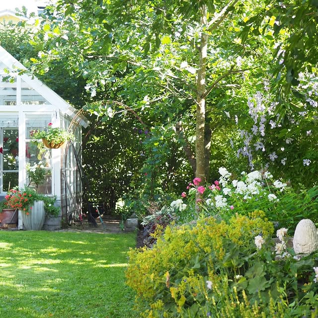 Post by villapelargonia