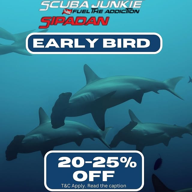 Post by scuba_junkie