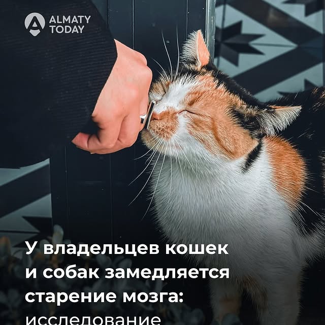 Post by almaty.today