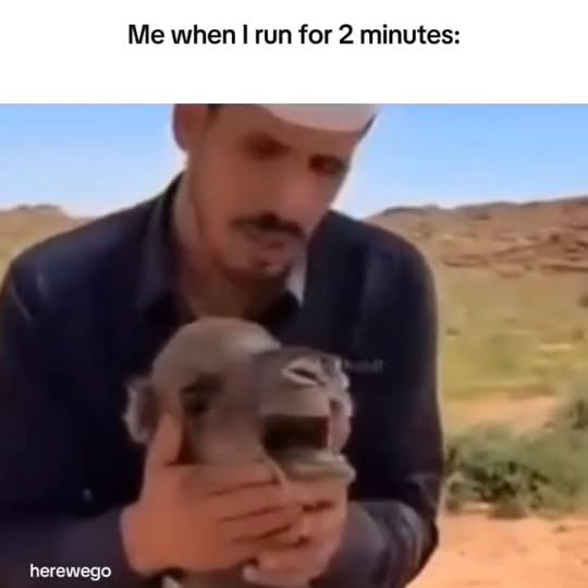 Post by ai_nutrition_tracker