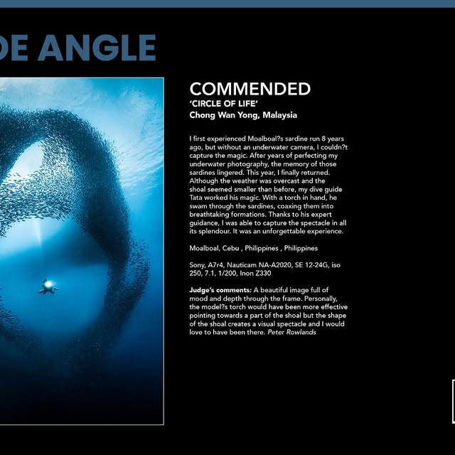 Post by zhuzhu_swazeny