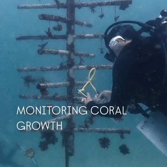 Post by scuba_junkie