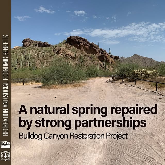 Post by tontonationalforest