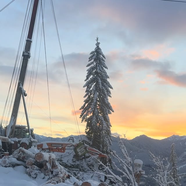 Post by thulinetimberco