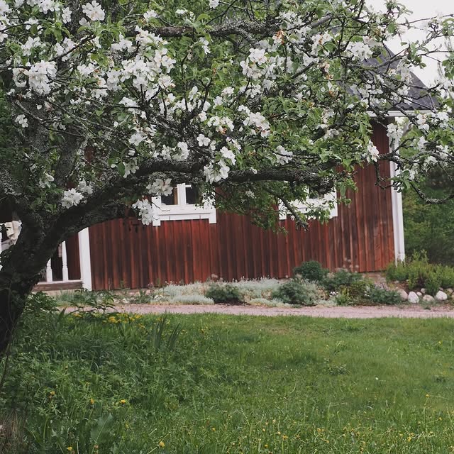 Post by koti_kiskossa