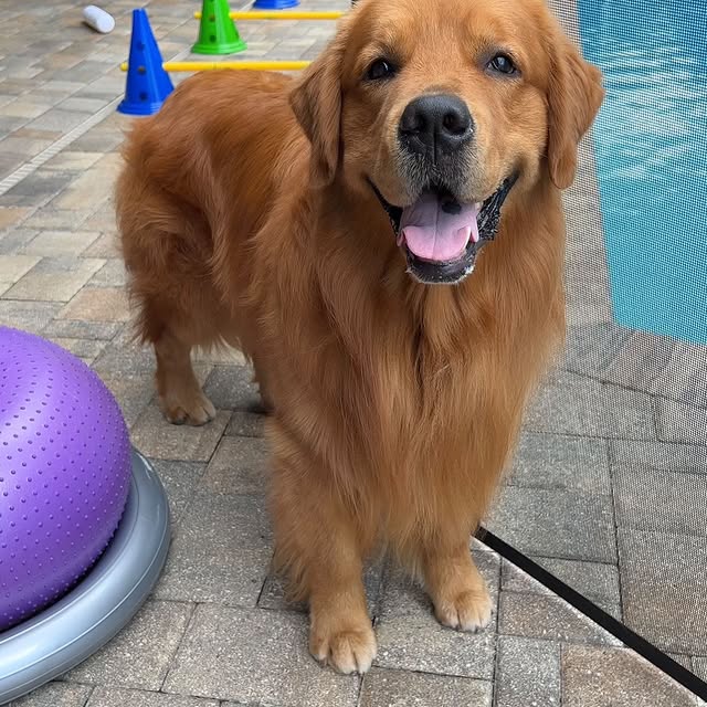 Post by bowen_thegolden