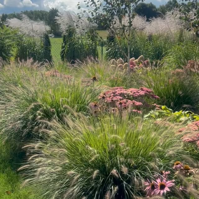 Post by szczypiorkatarzyna