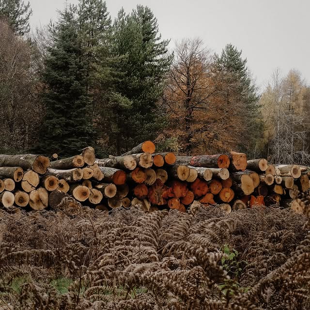 Post by happiness_behind_the_lens