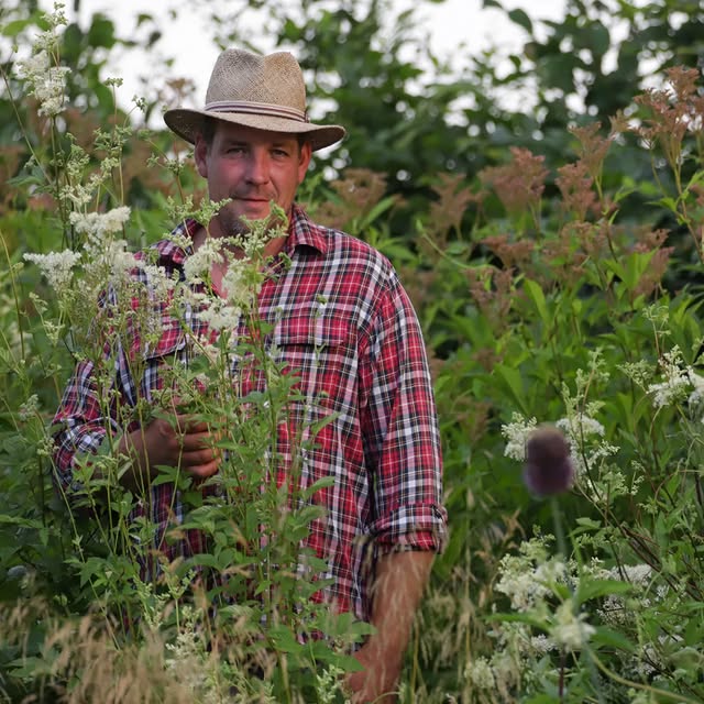 Post by basilikum_und_kaktus