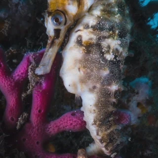 Post by mattysmithphoto