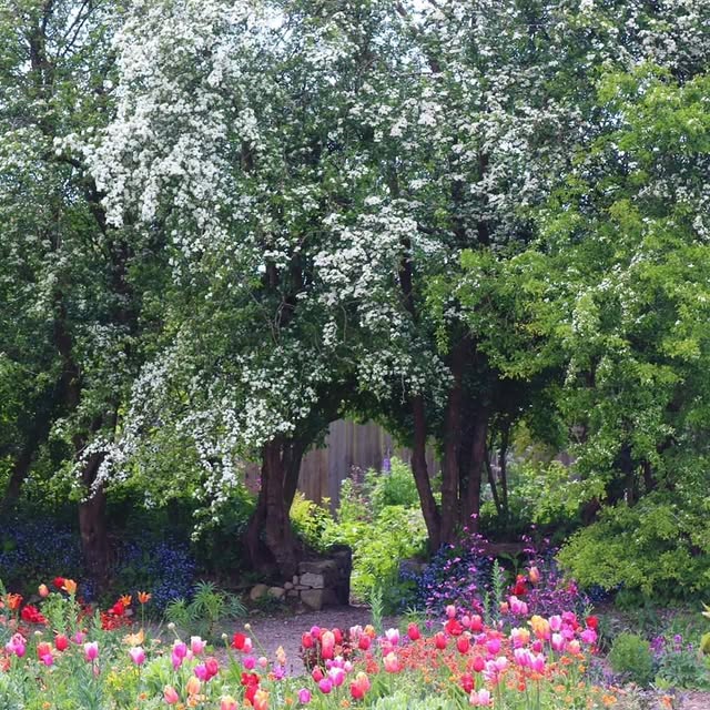 Post by patthana_garden