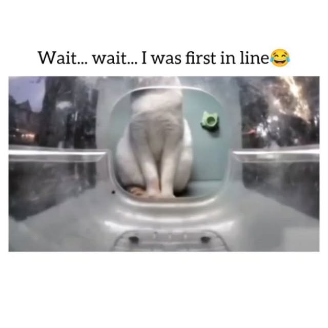 Post by kittiez_charms
