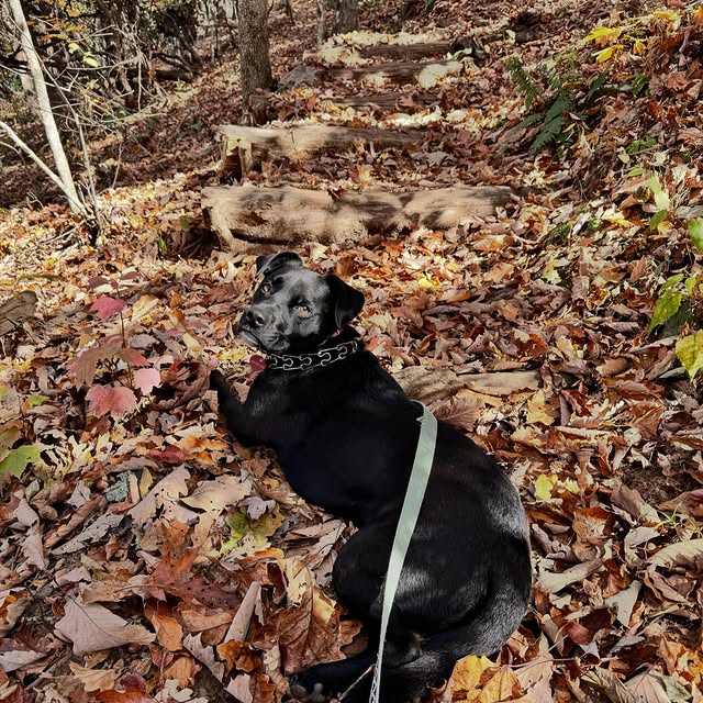 Post by thewildwomanproject