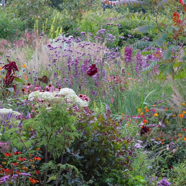 Post by patthana_garden