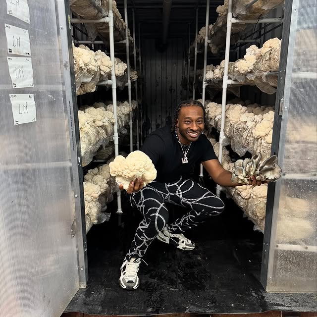 Post by tommythemushroomman