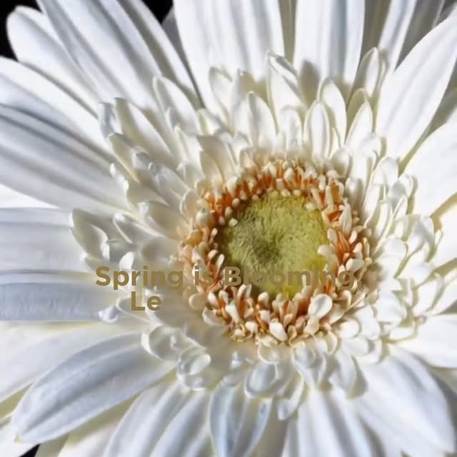 Post by sparklizecleaning