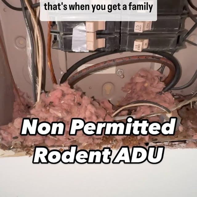 Post by portlandpropertyinspectors