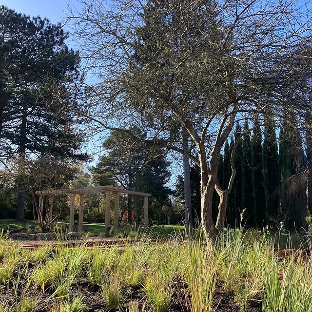 Post by joeperkinsdesign