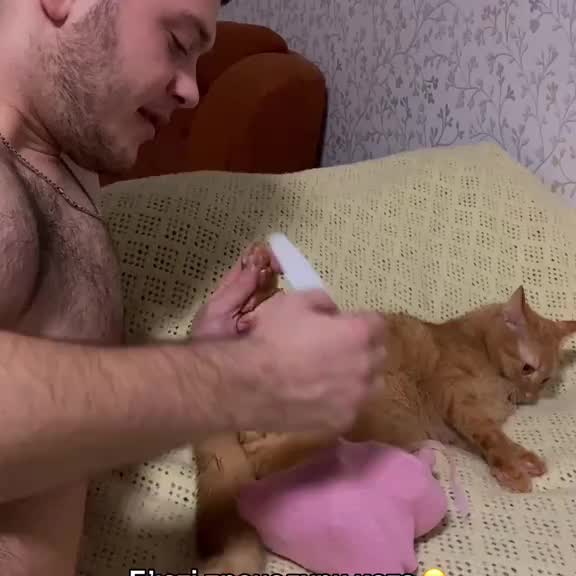 Post by animals_humor_ua