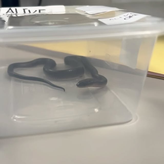 Post by ward_round_with_tom