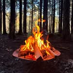 ジェイ's profile picture