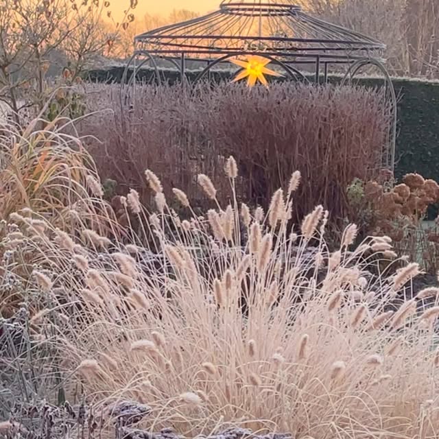 Post by katrinsgarten