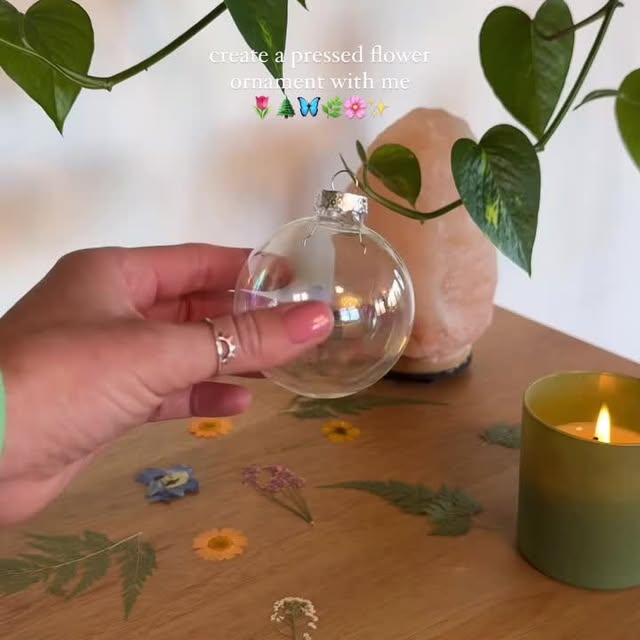 Post by peoplewithplants_official