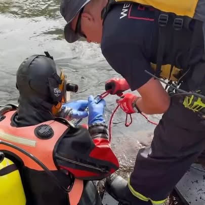 Post by westmetrofire