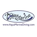 AquaMarine Diving - Bali's profile picture