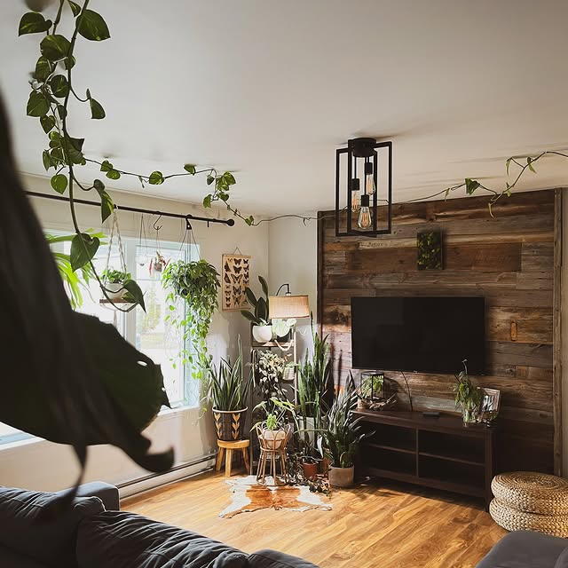 Post by houseofbotanical