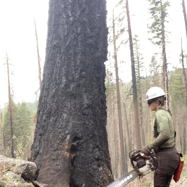 Post by urlocallumberjill