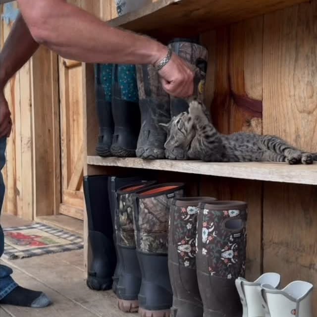 Post by tickcreekranch