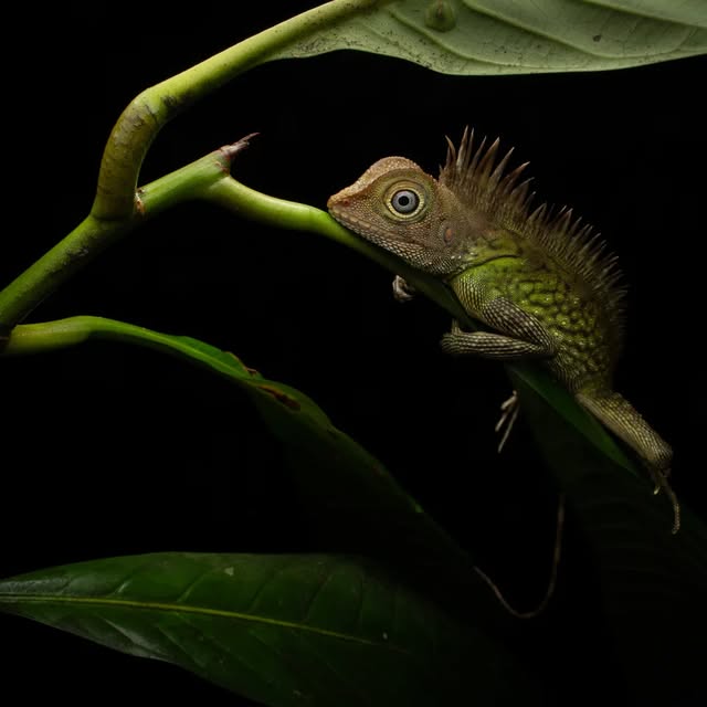 Post by huntingforparadise