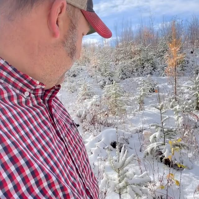 Post by rupps_timber