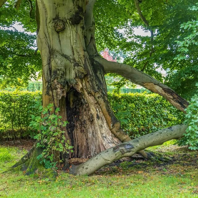 Post by jeremy.n.allen